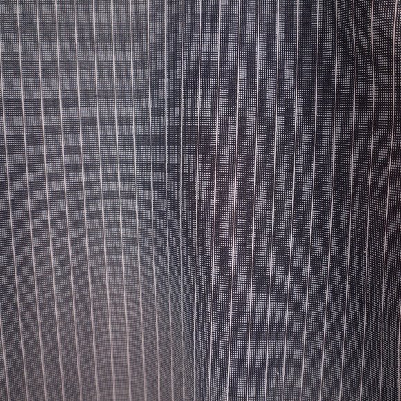 Express Design Studio Editor Dotted Gray Pants with White Pinstripes. Size 0 - Picture 3 of 4